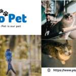 Buy Pet Keeper Plastic Tank Online Uk | Yopet.co.uk