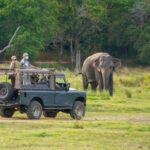 Safe And Comfortable Sri Lanka Tour: Relaxed Private Travel