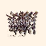 Ducks Feet for Dogs: Natural Chews for Joint Support and Crunch