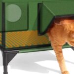 Best Dog Food for Puppy German Shepherds | Prime Nutrition