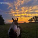 Storm Chasing Tornado: Experience the Thrill Safely with Expert Chasers