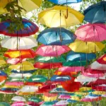 Supreme Home Decor: Elevate Your Space with Artlux Decor