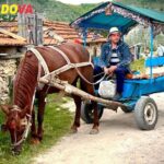 Tours from Chisinau: Exciting Day Trips & Getaways