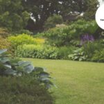Same Day Grass Cutting Service Bristol | Tidy Gardeners Bristol