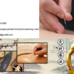 Chiropractic Treatment Penang | Tcmchinesephysicianchiropracticpenang.com