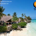 Tanzania Safari Packages – Tailored Wildlife Adventures