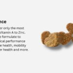 Prebiotics for Dogs: Support Your Pet’s Digestive Health