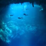 Tulum Cave Diving: Guides, Courses and Caves in Mexico