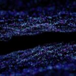 Malaysia university software license tracking that simplifies compliance