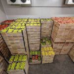 Hass Avocado Export To India: Trusted Tanzanian Produce for Buyers