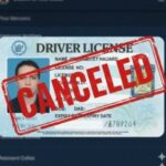 DUI Charges in Florida: What You Need to Know