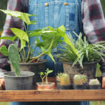 Discover a New Way to Sell Home-Mcooked Delights