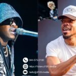 D100 Media | D100media.com