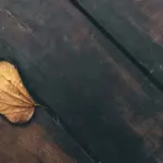 Best Cellular Bonding Router for Live Streaming — Seamless Multi-Net Connectivity