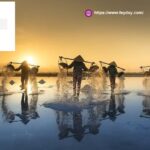 Singapore Business For Sale | Feyday.com