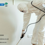 Maintain Hygiene With Custom Pest Control Contract London Solutions
