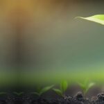 A Quiet Choice for Safer Crafting