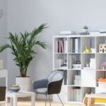 Career Guidance Assessment Cape Town | Find Your Path with Kirstin Brink