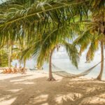 Best Fly Fishing for Bonefish in the Caribbean: A Angler’s Guide