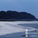 Erase mistakes using SC criminal record expungement professional services