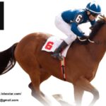 樂博星精選高RTP電玩：穩定高回報與流暢遊戲體驗