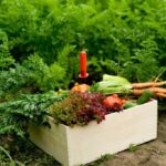 Wholesale Coffee And Spices Exporter | Trusted Global Supplier