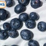 Explore Velo Nicotine Pouches: Smooth Flavor, Convenient Nicotine