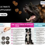 Salmon Oil for Dogs: Gentle Nutrition for Healthier Canines