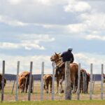 Permit Fly Fishing in Mexico: A Thrilling Guide with Nervous Waters