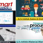 Certification Course In Sap | Thesmarthands.com