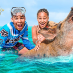 Atlantis Bahamas Excursions: Unforgettable Island Adventures