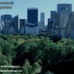 Företagsbeskattning och regelefterlevnadstjänster för företag