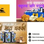 Buy Conveniently with Automatic Papad Machine Online Today