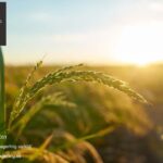 Psykolog KBT Stockholm – kostnadsfri konsultation hos Louise Lagerling