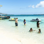 Swim With Pigs Nassau — An Unforgettable Island Adventure