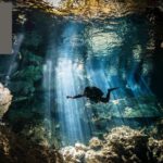 Cenote Diving: Discover Mexico’s Underwater Wonderlands