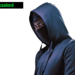 Hire a Crypto Security Expert in the US for Asset Recovery