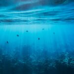 Gentle Gum Disease Treatment in Ottawa | DolphIndentistry