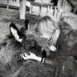 Diplomierte Tierkommunikation Schweiz – Vertrauen zu Haustieren stärken