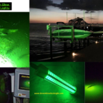 Snook Lights: Illuminate Your Night Fishing with Durability