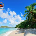 Rentals Car in Hawaii: Easy, Affordable Aloha Adventures