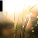 Psykolog Stockholm relationer – hjälp att hitta balans