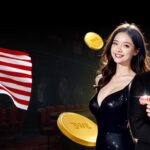 Evolution Gaming Live Casino: Real Dealers, Real-Time Play, Real Entertainment