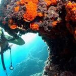 Amalfi Positano Tour: Private Day Trip to Capri and Coastline Wonders