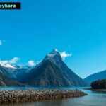 Travel Industry News: Trends, Updates and Insights for Global Travel Professionals