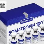 Anabolen kopen: betrouwbaar en discreet voor serieuze atleten