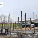 Timber Piles for Foundation Work: Quality Piling in Vancouver