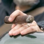 Cigar Shops in Mumbai: Trusted Picks for Connoisseurs