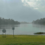 Buying a business in Singapore: A guided, practical path