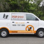 Mosquito Pest Control Treatment in Gold Coast | Safe, Effective Solutions